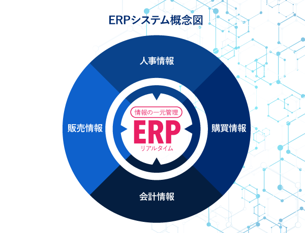 業務用アプリケーション導入サービス